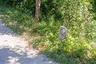 Treidelstein 106