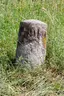 Treidelstein 91