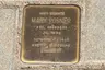 Mary Rosner