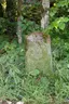 Treidelstein 72