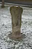 Wolfsmantelmarter