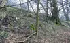 Burgwall Groß Görnow
