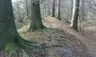 Alte Landwehr