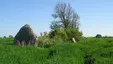 Langbett Großenbrode
