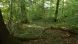 Ehemalige Körschburg