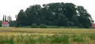 Wölper Burghügel