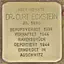 Stolperstein en memoria de Curt Eckstein