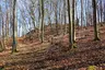 Burgruine Hollende