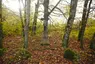 Wayside cross