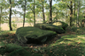 Großsteingrab Hüven-Süd
