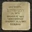 Ludwig Levy