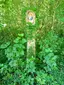 Bildstock Bildstock