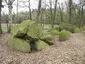 Großsteingrab Rickelmann 1