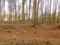 Hünenburg Riemsloh