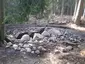 Steinkiste in der Feldmark Rade