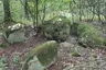 Großsteingrab Wenzendorf