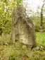 Menhir von Wackernheim