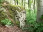 Burg Hallermund