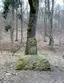 Gedenkstein am Fuß der Kaisereiche