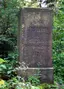 TP Steinkamm