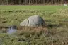 Opferstein Melzingen