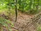 Ruine Spiegelburg