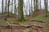 Burgruine Großer Gudenberg