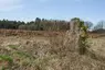 Steinkreuz in Ziegelhütte bei Lauf