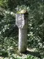 Dreiländerstein 1574