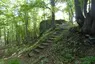 Burg Ziegenberg