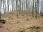Burgstall Wagesenberg