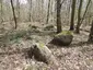 Großsteingrab ALV 35