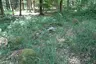 Großsteingrab ALV 10