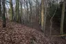 Burgstall Leonegg