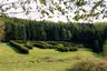 Ornamentpflanzung