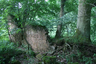 Mühlhäuser Schlößchen