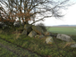 Driehauser Steine