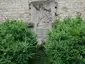 Sonnenbunker-Denkmal (Ulm)