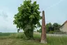 Kursächsische Postmeilensäule