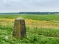 Sächsisch-Preußischer Grenzstein: Pilar Nr. 207