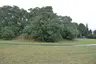 Pfarrberg