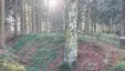 Große Schwedenschanze