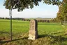 Königlich-Sächsischer Meilenstein Butterstraße Hartmannsdorf-Reichenau