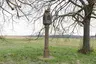 Bildstock