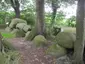 Großsteingrab Meyenburg