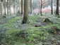 Röm. Kleinkastell Ebnisee