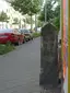 Apelstein 36