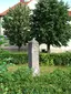 Apelstein 18