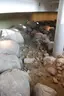 主教塔