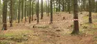 Schlacht auf dem Harzhorn